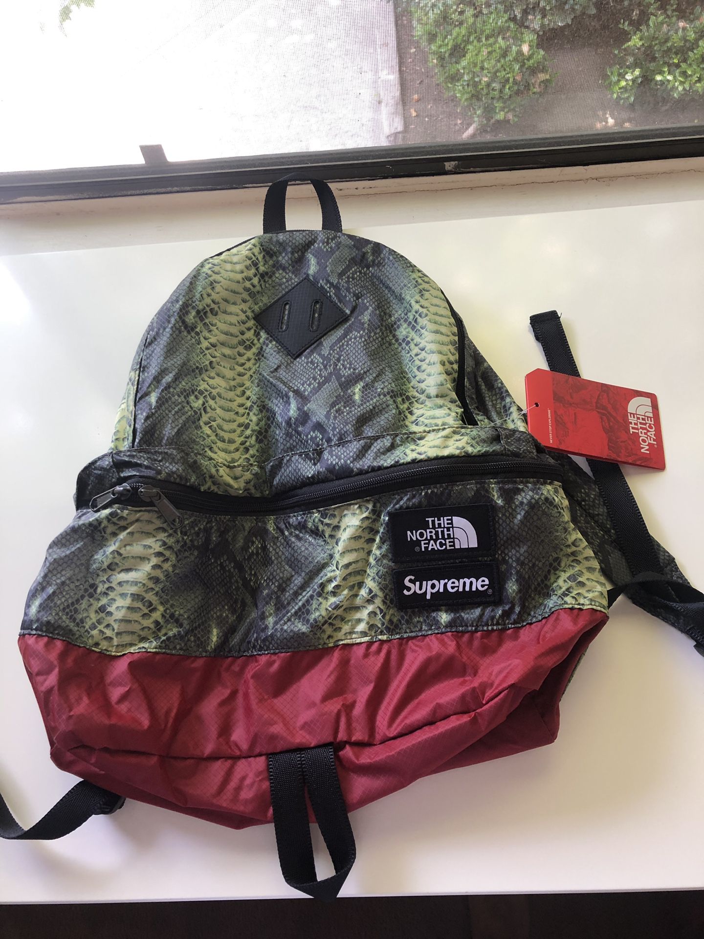 Supreme north face backpack