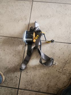 Seat Belt Driver Honda Insight