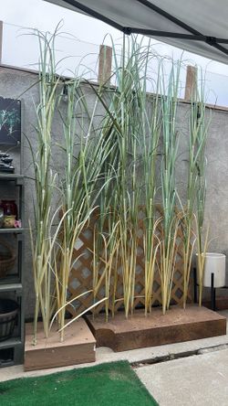 Artificial corn crop