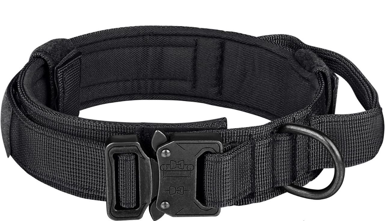 Dog Collar - Brand New!