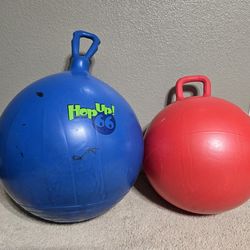 Bouncy Hopper Ball