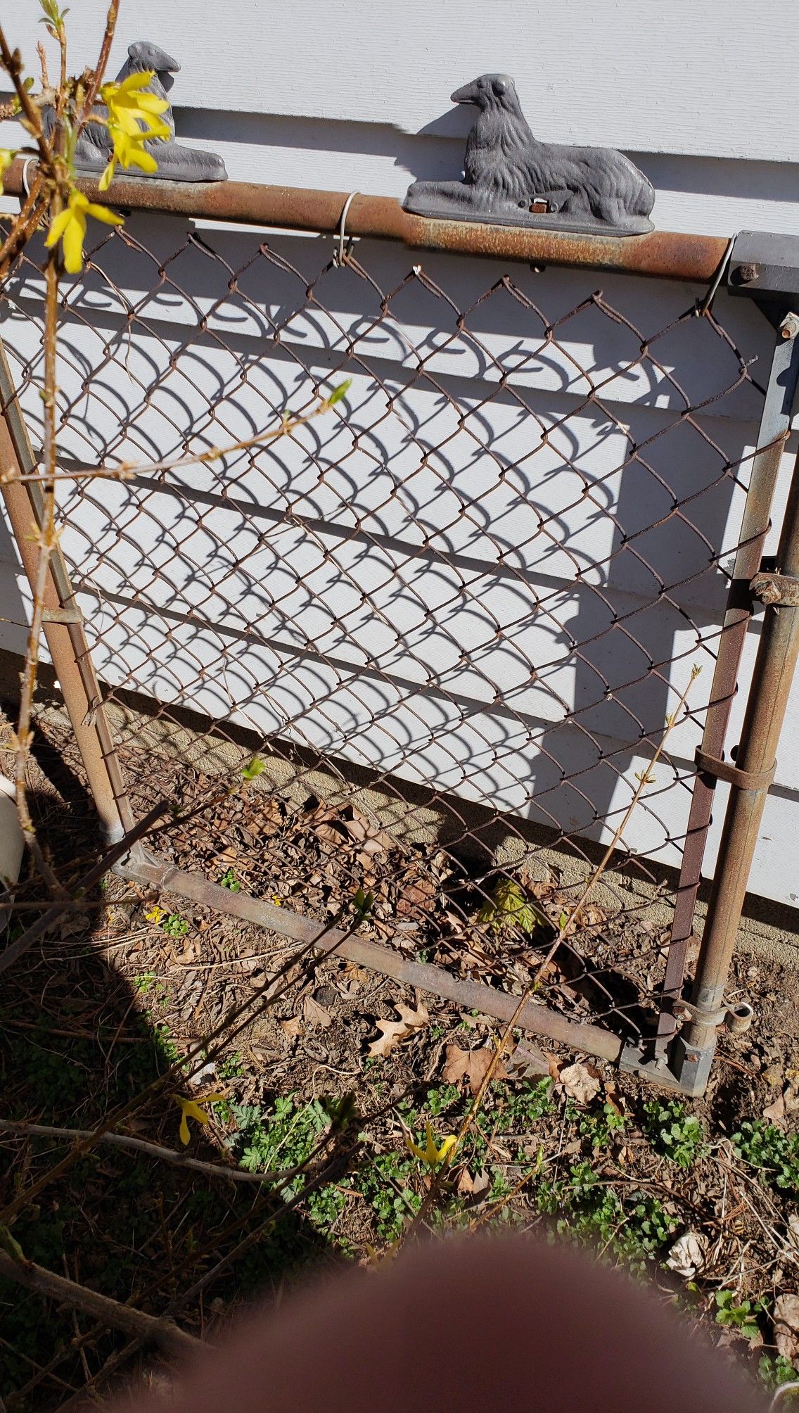 Antique gate w Dogs on it