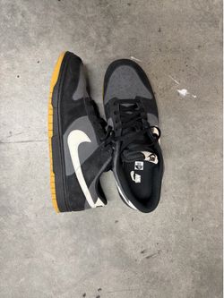 Nike dunk pigeon