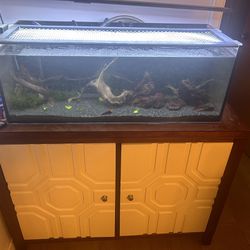 Nuvo Fusion 30 Gallon Long All In One Fish Tank
