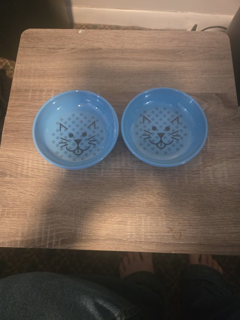 Cat Dishes