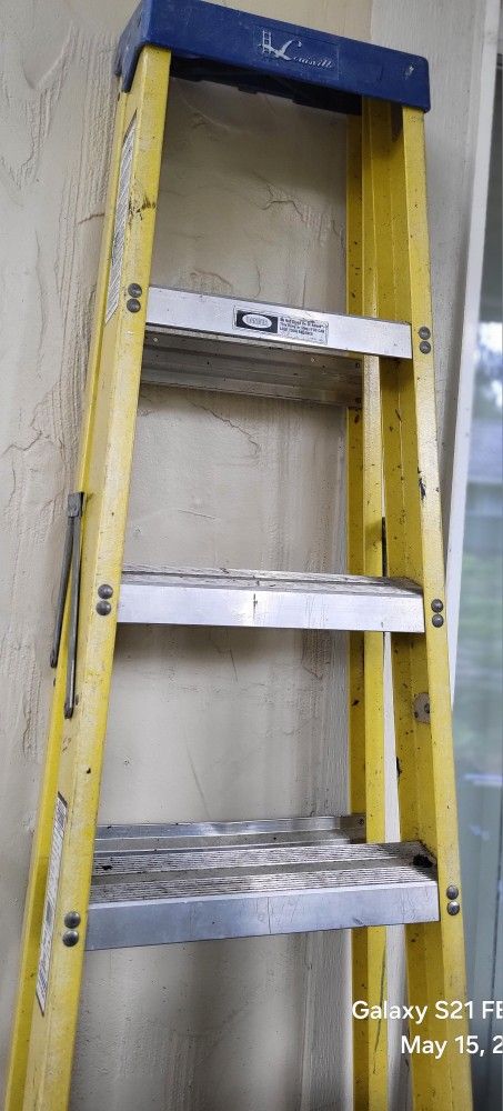 6' Werner Ladder