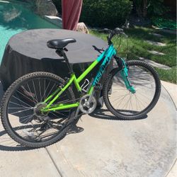 Mountain Bike 13” 