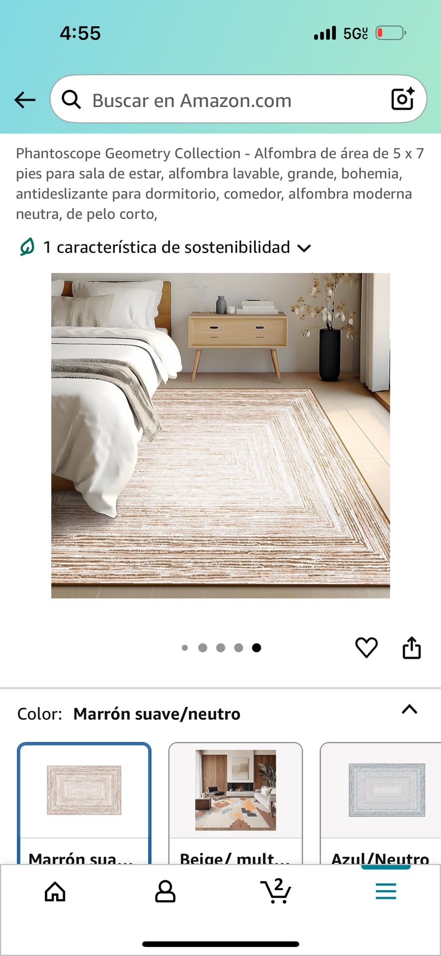 5x7 Boho Style Area Rug