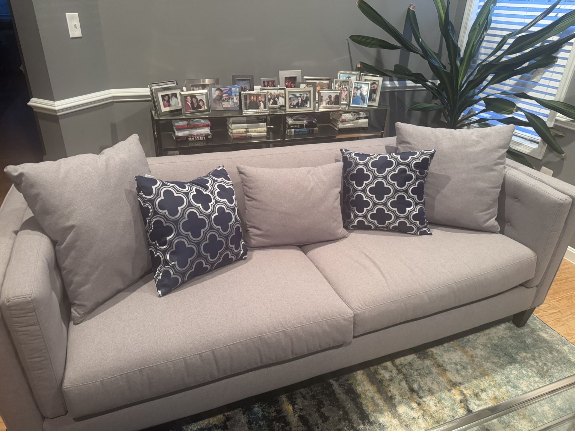 Light Gray Couch