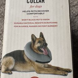 L/XL Dog Collar