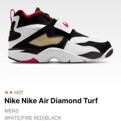 Nike Air Diamond Turf