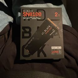 WD_Black SN8100 NVMe M.2 2 Tb
