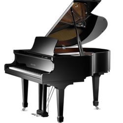 Pearl River With Self Playing System Prodigy 