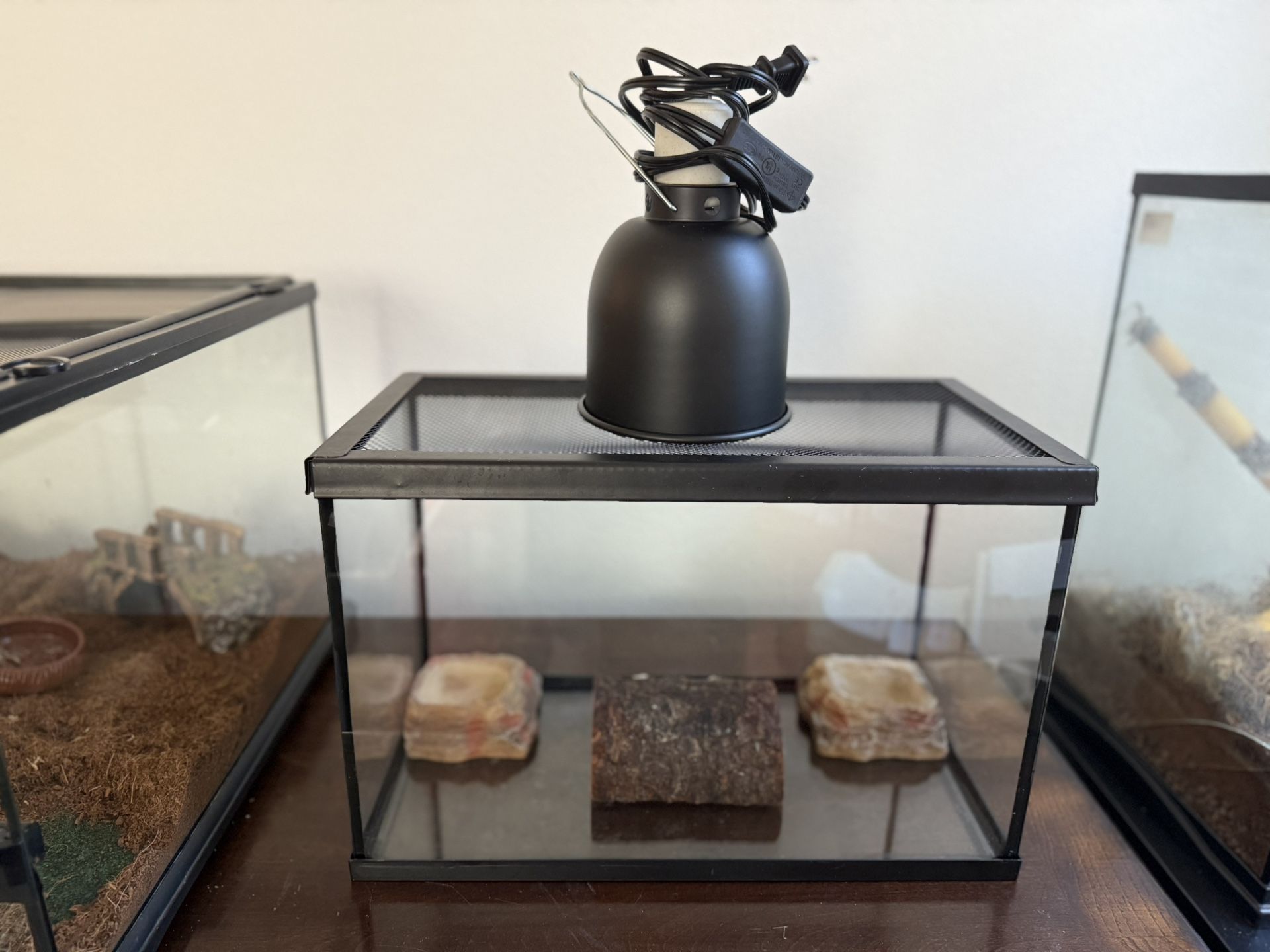 5 Gallon Reptile Terrarium