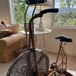 Schwinn Vintage Air Dyne Exercise Bike 🚲 Copper