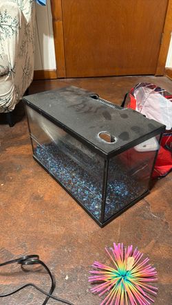 10 gallon fish tank