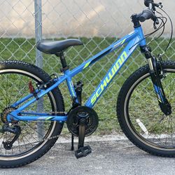 Schwinn Thrasher 24” Kids Bike