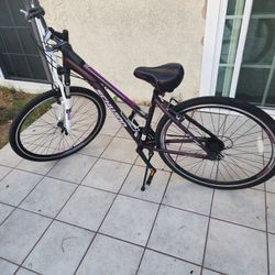 Schwinn Bicycle 