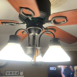 Good Working Condition Hunter Ceiling Fans With Light Asking $50 Obo