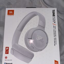 Jbl 520 Head Phones 