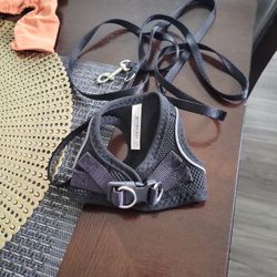 Pet Hardness with leash