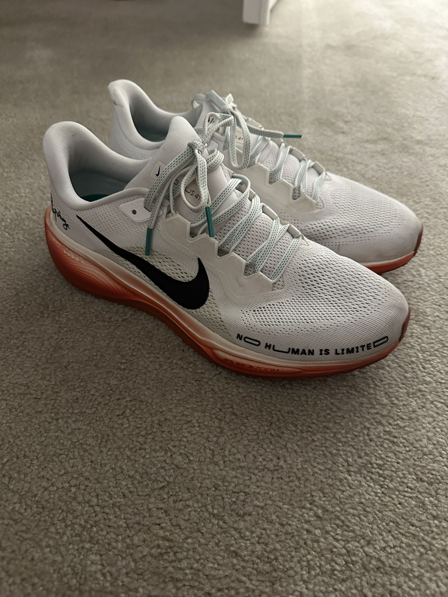 Nike Pegasus 41 Eliud Kipchoge Limited Edition Size
