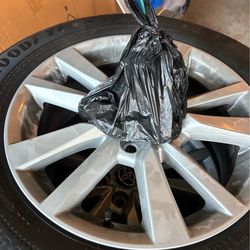 2026 Toyota Camry rims 16 inch