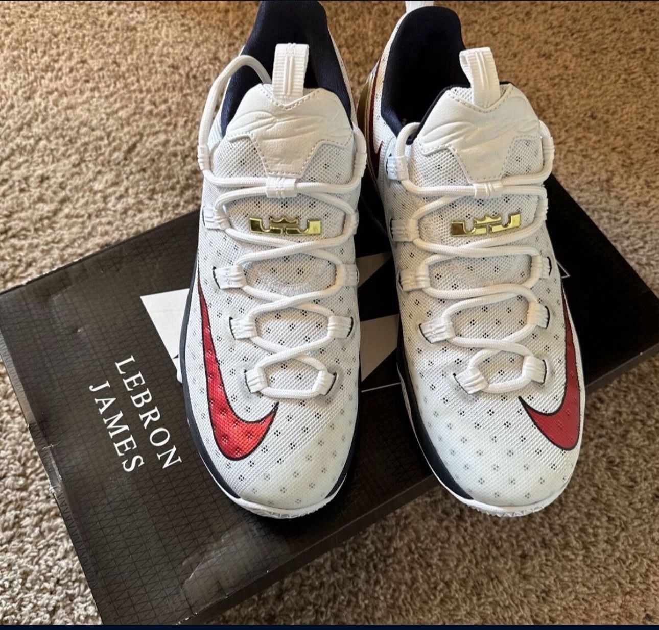 Nike Lebron 13 Low USA SIZE 10.5