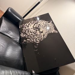 Wall Art Leopard Set Cuadros