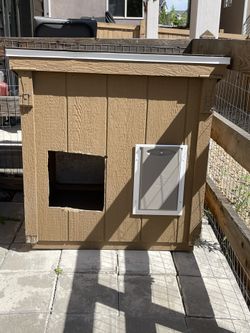 Dog House Or Chicken Coop With Lift Top