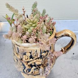 Succulent Mug * 4"×4"