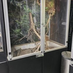 Reptile Enclosure 