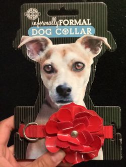 Small dog collar