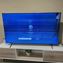 65' Samsung TV (For Parts)