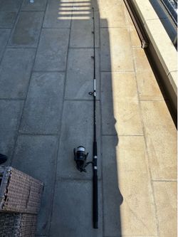 Fishing Rods and Reels