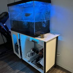 Fish Tank With Stand