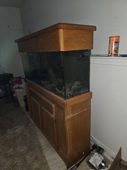 50 Gallon Fish tank