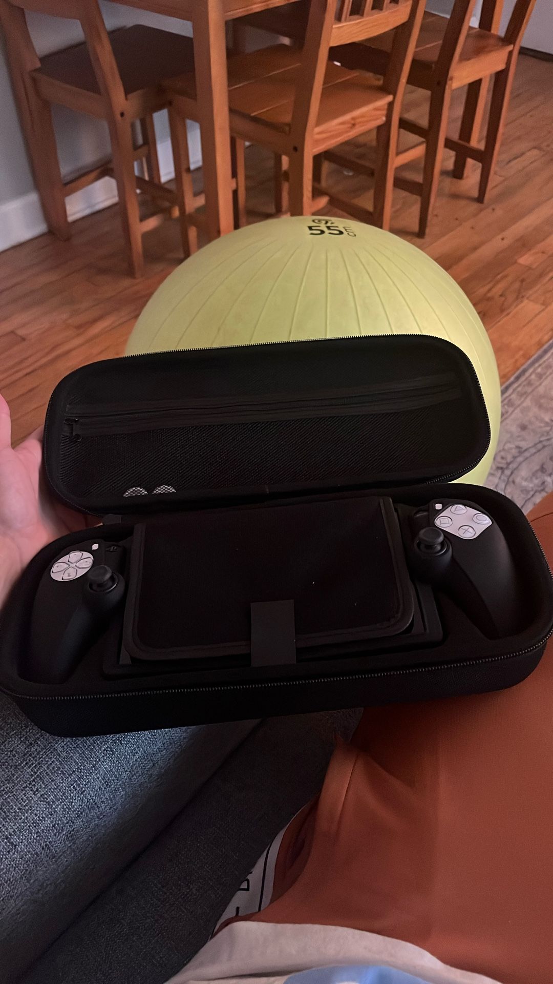 PlayStation Portal