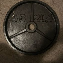 45 Lb Cast Iron Weight Plate