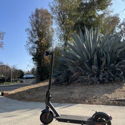 Electric Scooters