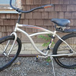 Trek Classic Beach Cruiser Gray Bike