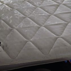Seta Perfect Sleeper Master King Mattress 