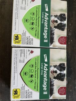 Advantage Flea Large Dog