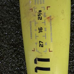 Easton ADV 360 bat 