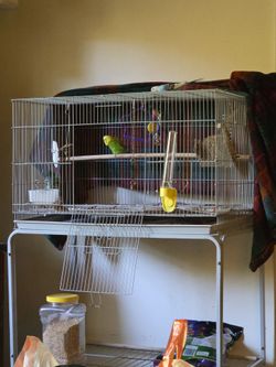 Large Bird Cage with Stand