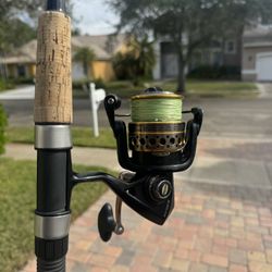 Penn Battle 4000 with Star Rod Stellar Lite