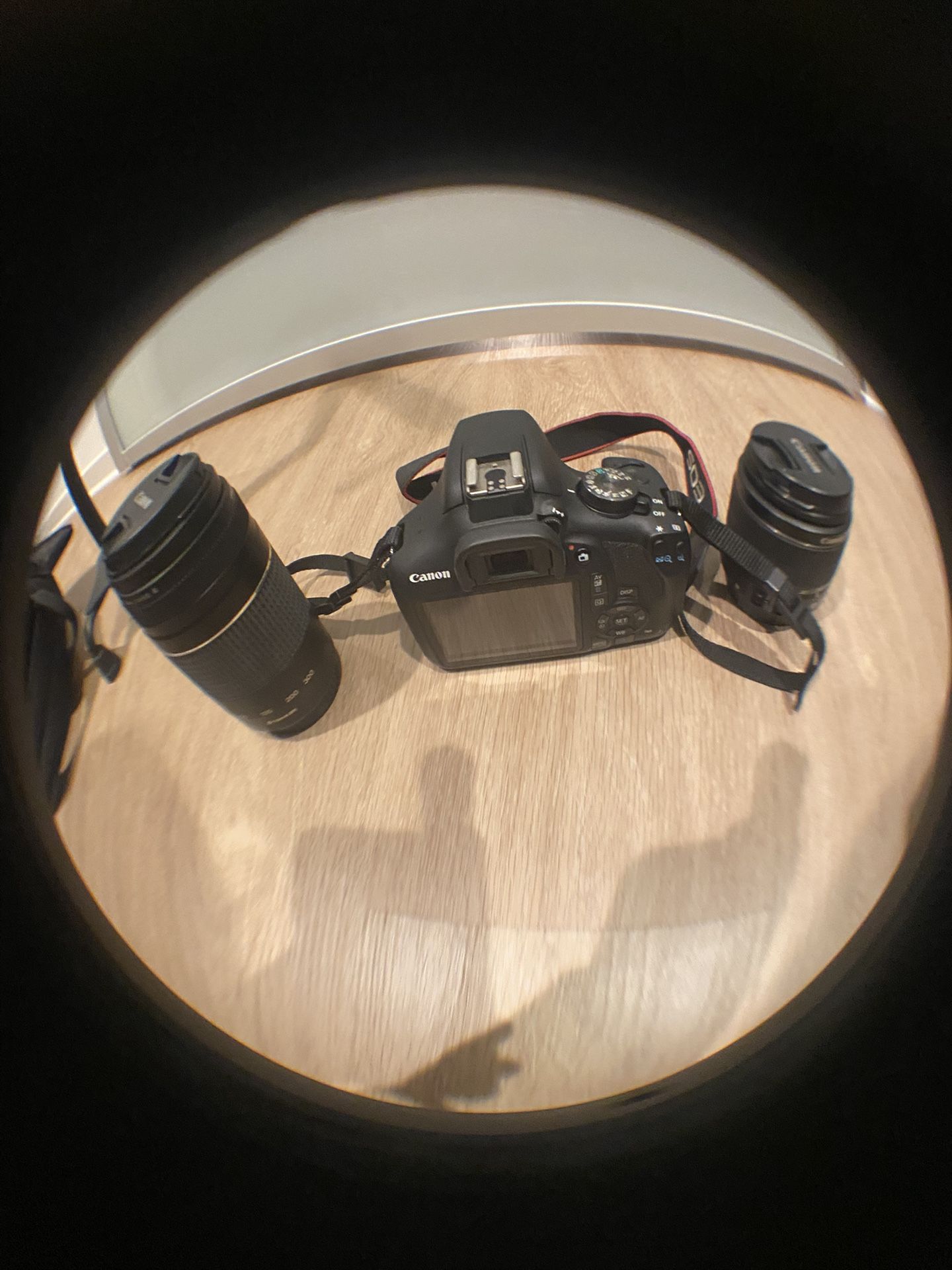 Cannon Camera 