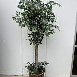 Fake Decor Plant 6.5ft Tall