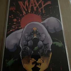 The Maxx Issue #1 