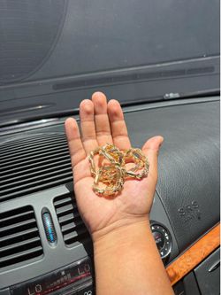 14k new Italian gold Milano chain